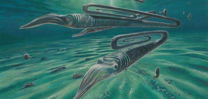 Antarctic fossils reveal creatures weren't safer in the south during dinosaur extinction