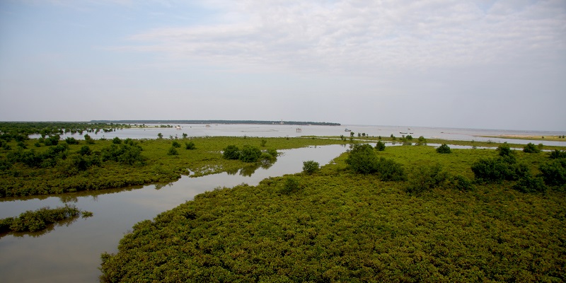 Harnessing multiple benefits from resilient mangrove systems