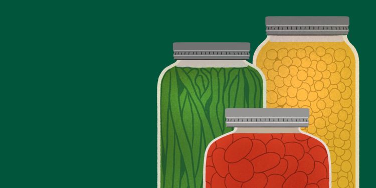 A green background. Three illustrated jars with different vegetables in, illustrating fermentation.