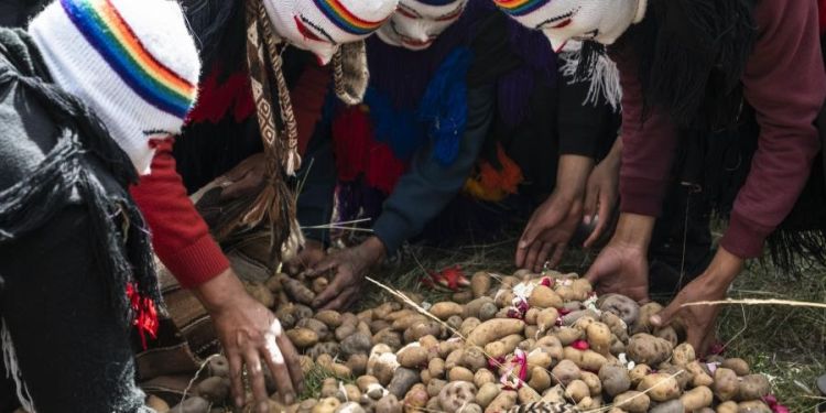 Exploring Indigenous bioculture in Peru