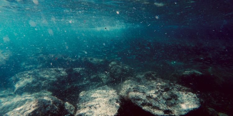 Microplastics are pervasively buried in the deep sea