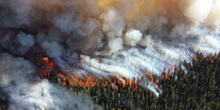 Lightning is the leading cause of wildfires in boreal forests, threatening carbon storage