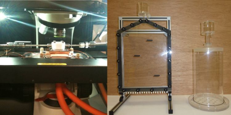 Raman cold storage