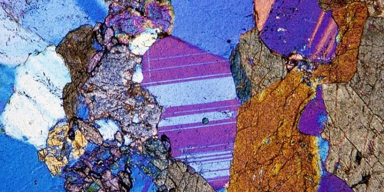 Amphibolite rock thin section through a microscope