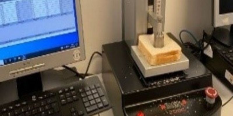 Shuyue operating the texture analyser to ‘punch’ the bread                    