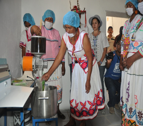 A group of women using food science equipment.
