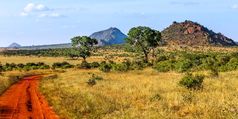 Africa landscape