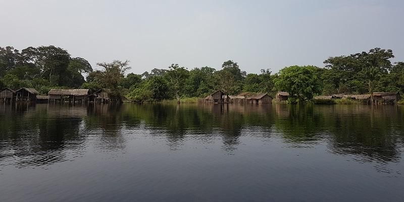 Congo peatlands could release billions of tonnes of carbon