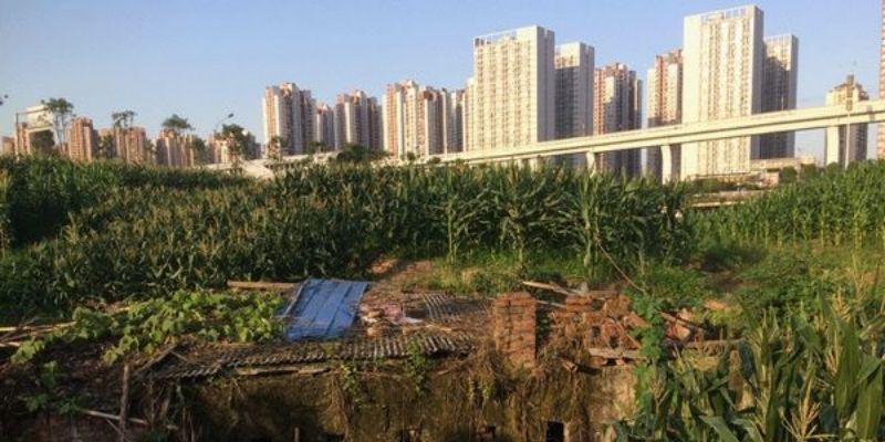 Exploring the ecological and economic limits of ‘the urban’ through wasteland farming in Southwest China