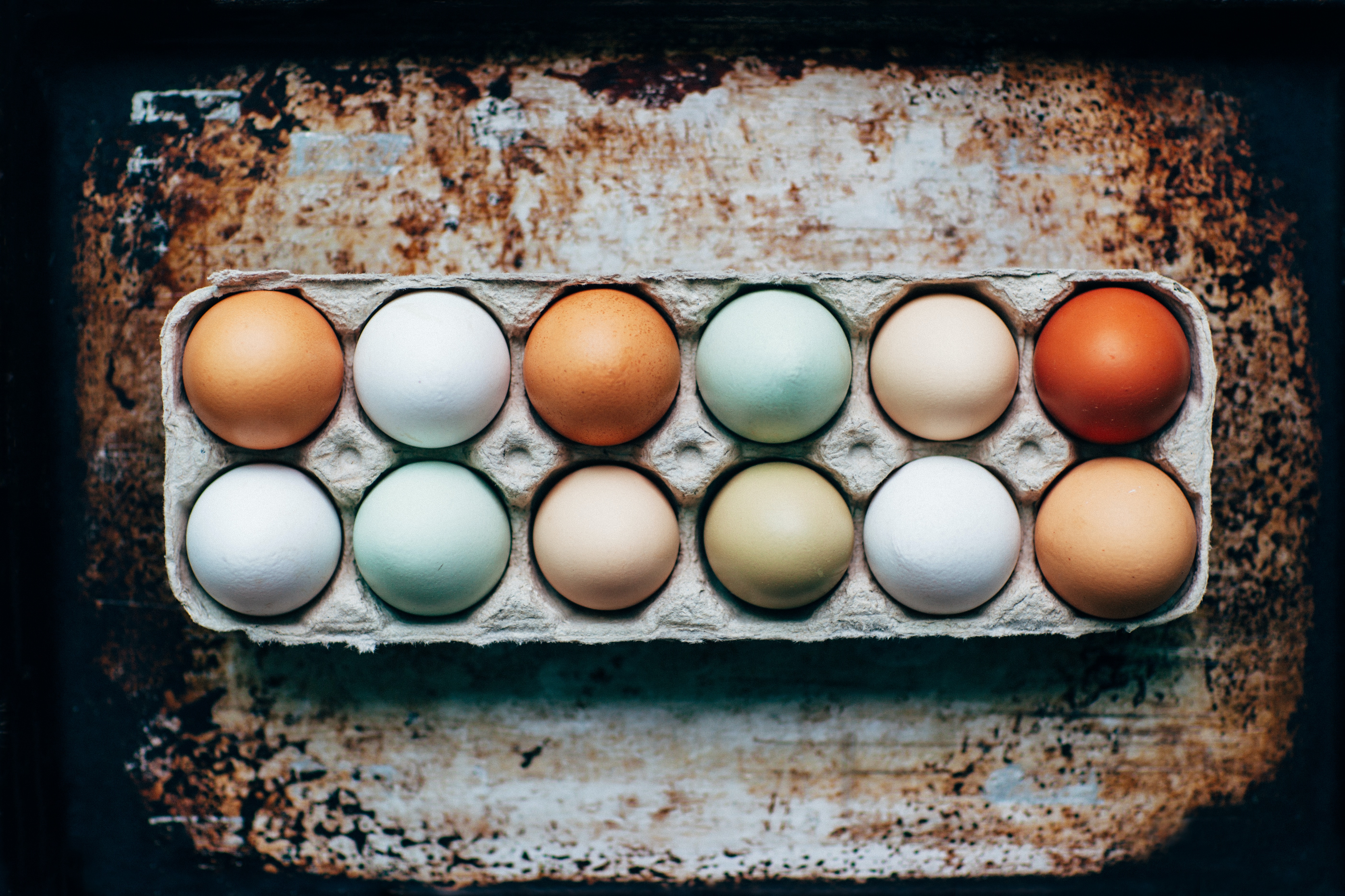 Plant-based egg project rated 'Outstanding' by Innovate UK