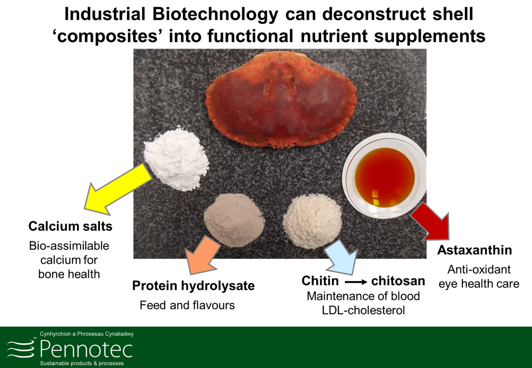 Optimization and demonstration of a sustainable bioprocess for extraction of value-added food supplements and ingredients from crustacean waste resource (TAMFI) | School of Food Science and Nutrition | University of Leeds