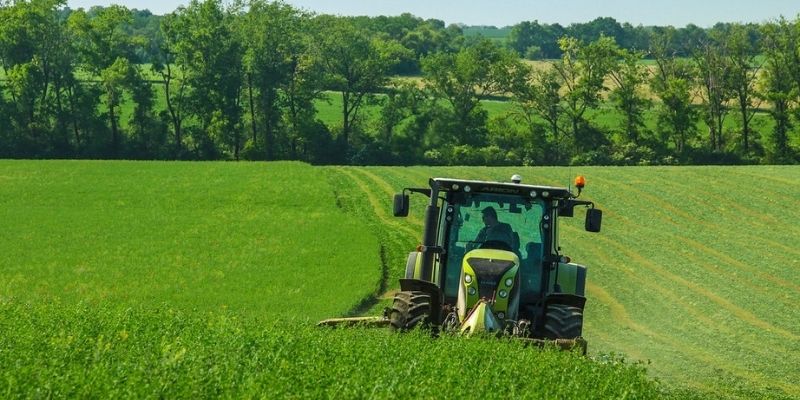 Farmer in a tractor harvesting a field of produce