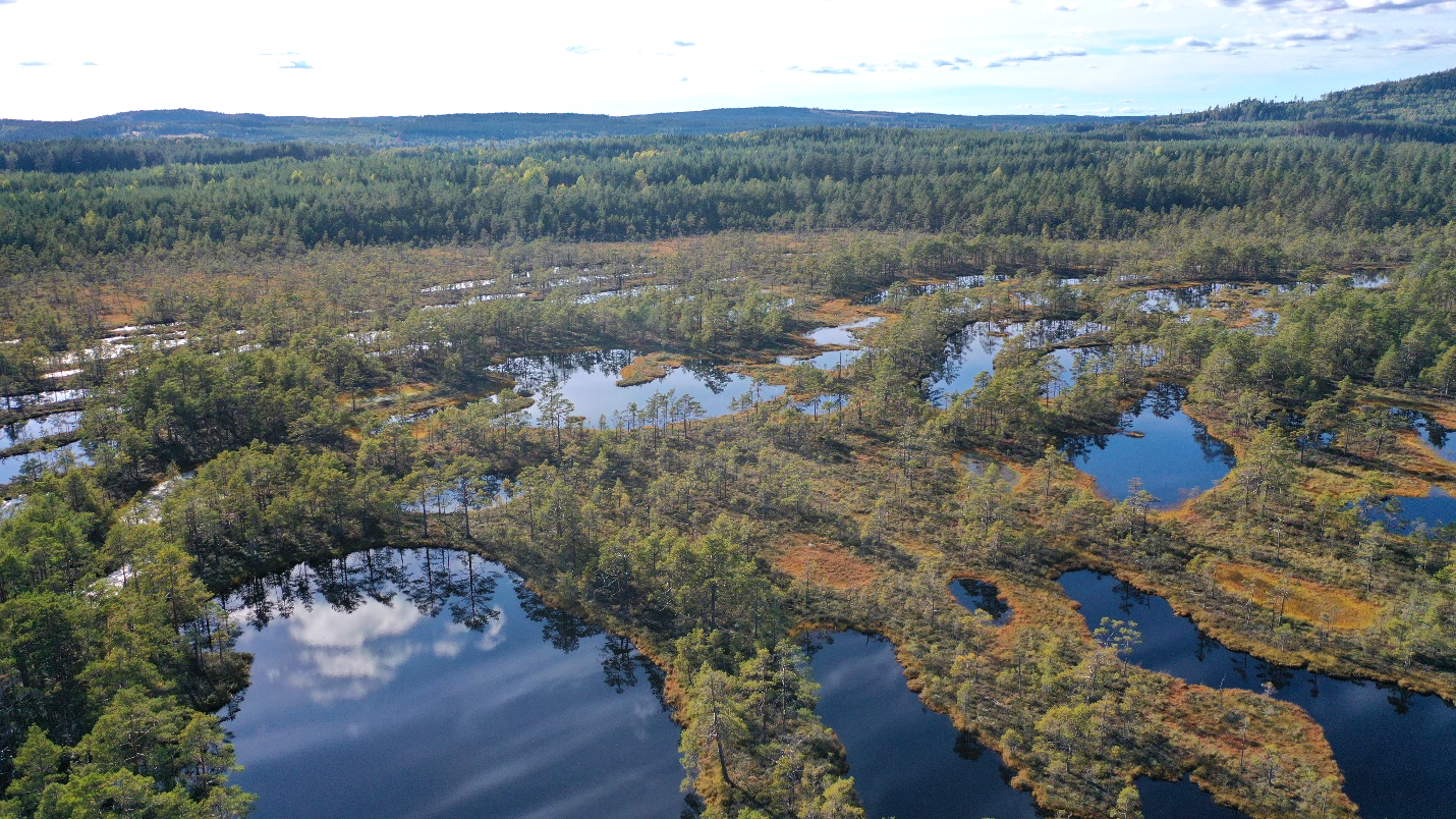 Shrinking pools on northern peatlands | Faculty of Environment