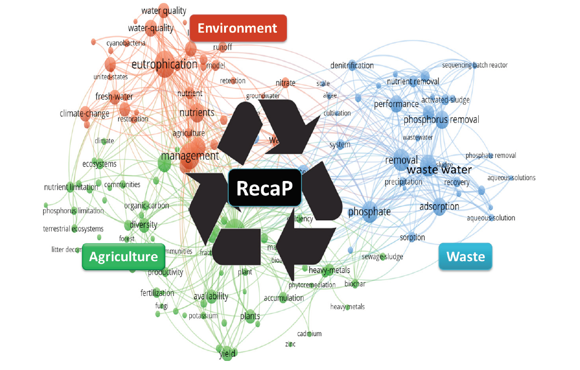 Capture, recycling and societal management of phosphorus in the environment (ReCAP)  | School of Earth and Environment | University of Leeds