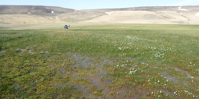 Using the past to unravel the future for Arctic wetlands