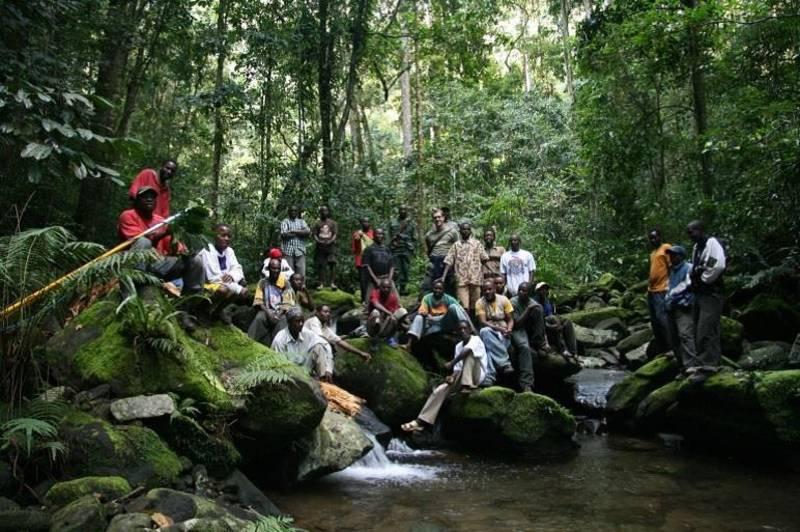 Terrific Scientific's Rainforest Legacy: Terrific Tropical Trees