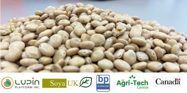 image of seeds and logos