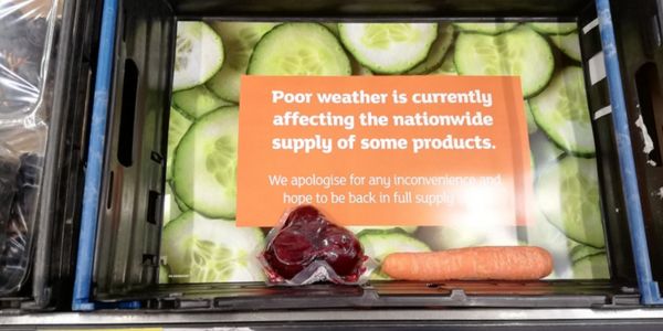 Improving Resilience in Supply Chains (as part of the H3 – Healthy Soil, Healthy Food, Healthy People Consortium)
