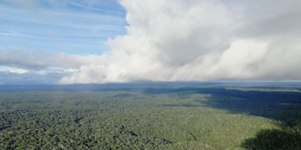 Landscape image of forests and sky