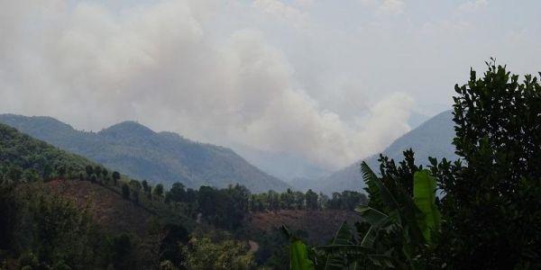  Forest fires linked to tens of thousands of avoidable deaths
