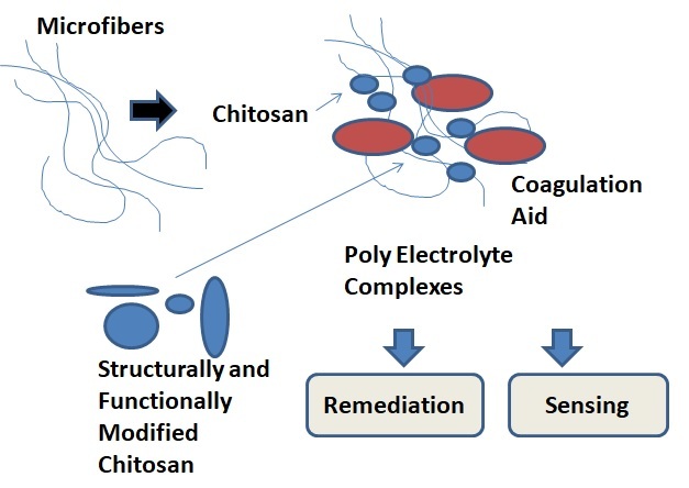 Coagulation towards remediation and sensing of microfiber pollutants in freshwater and marine environment using structurally and functionally modified biopolymers | School of Food Science and Nutrition | University of Leeds