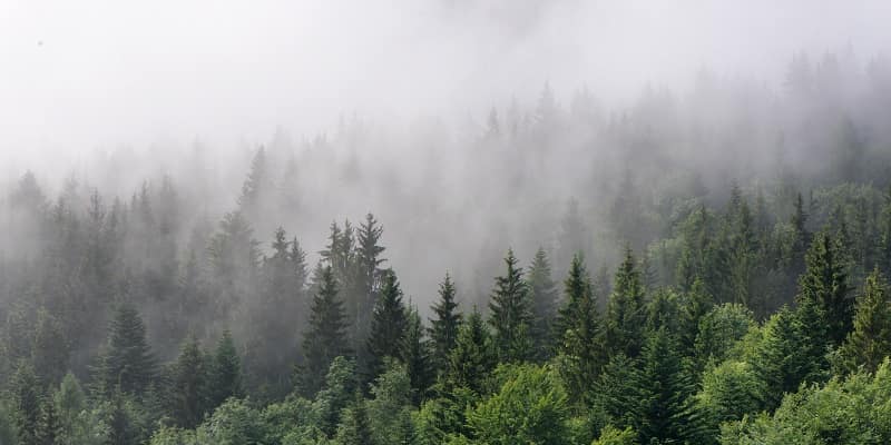 Bosawás Biosphere Reserve: Nature's Untamed Realm | LAC Geo