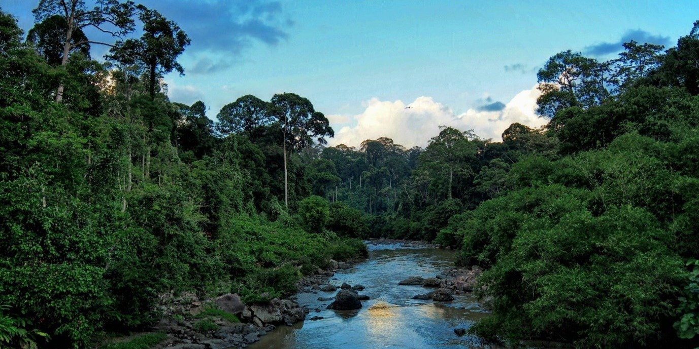 A wide, low river reflecting the blue sky. Either side are trees from the rainforest looking tall and full.