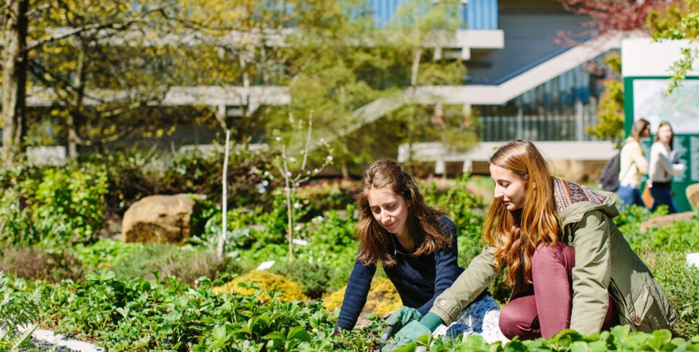 Undergraduate students gardening at the University of Leeds Sustainable Garden