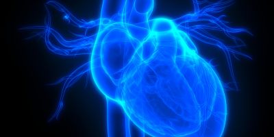 Experts urge national focus on heart health.