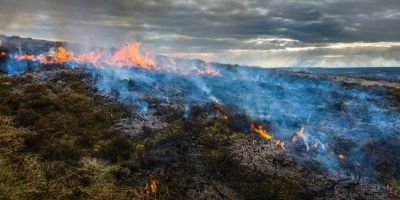 Moorland burning exposes millions to unsafe air pollution