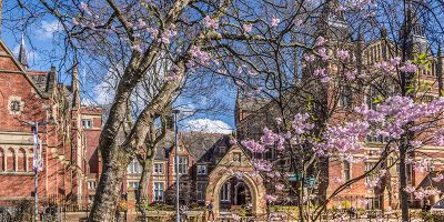 Blossom on campus