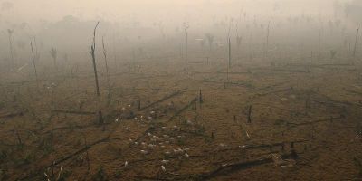 Expanding livestock farming in the Amazon, by Bruno Kelly