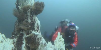 Image of a diver underwater. 
Image credit: Geoff Marsh