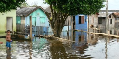 Amazon river