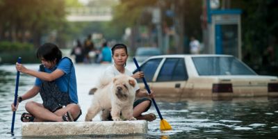 Image of effects of flooding