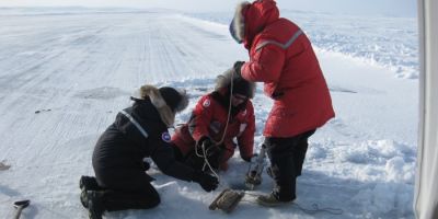 Graeme Swindles in the Arctic