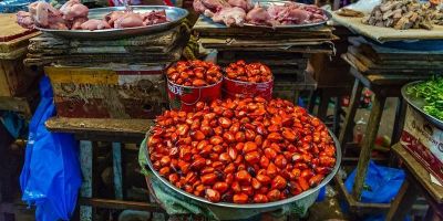 Image of tomatoes at a market