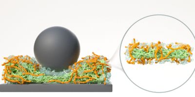 Schematic illustration of hydration lubrication. A grey sphere on top of a grey block. In between are green, orange and translucent filaments and spheres mixing together, representing the parts of the lubricant.