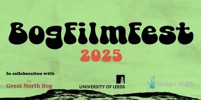 Green poster with black text that reads BogFilmFest 2025