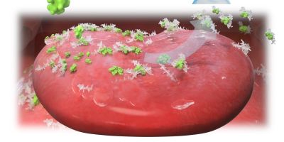 Why plant-based proteins leave a ‘dry’ taste