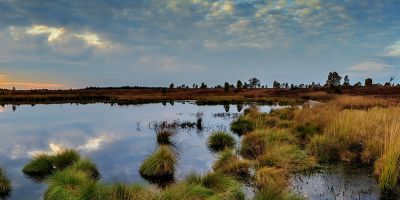 Emissions from wetlands and permafrost impacts climate targets