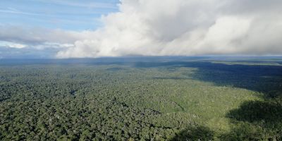 Aerial photo of the amazon rainforest