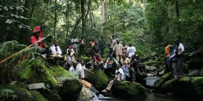 Udzungwa Forest Project, Tanzania. Credit: Dr Andy Marshall