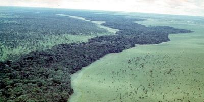 Exploring fractal patterns in African ecotones