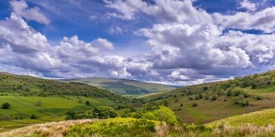 A view of the Yorkshire Dales in summer.
