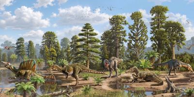 Movie-starring dinosaurs originated in Europe, study finds