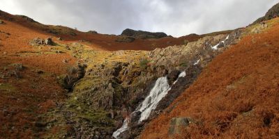 A joined-up approach to wetland restoration