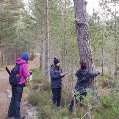Image of three Geography students at the University of Leeds out on a fieldwork trip. One of the students is hugging a tree in the forest.