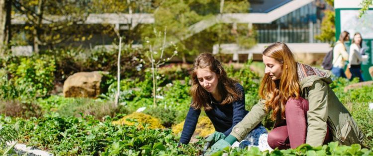 Image of undergraduate geography students using the sustainability garden at the University of Leeds.