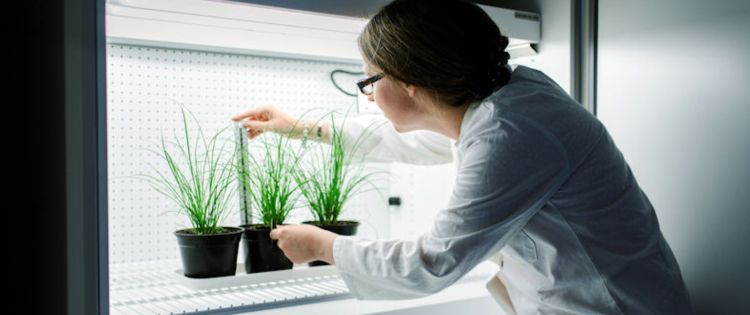 Image of a female student examining plants in the Geography lab
